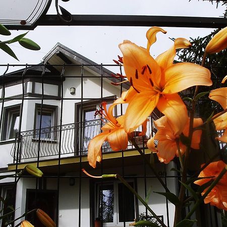 Villa Hasaba クロシチェンコ エクステリア 写真