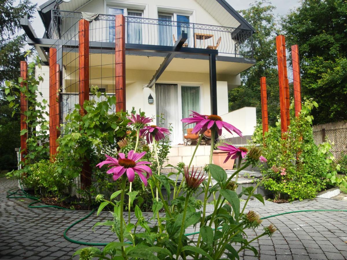 Villa Hasaba クロシチェンコ エクステリア 写真